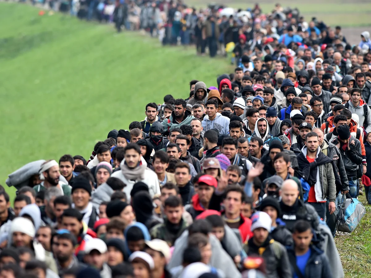 The Unseen Human Tide: A Comprehensive Report on the Global Refugee Crisis (2026)